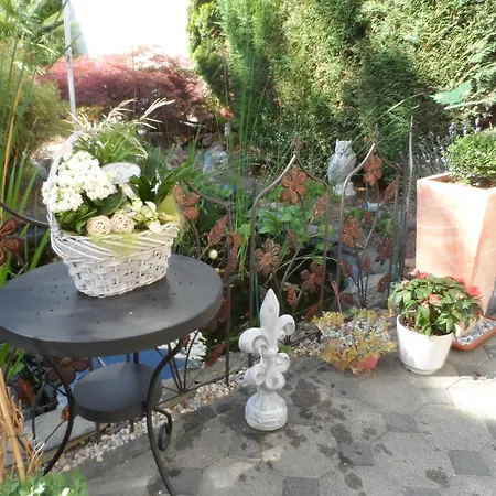 Studio Homestay szállás *