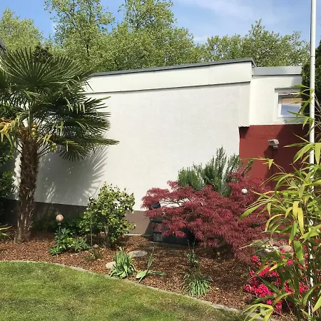 Studio Homestay szállás *