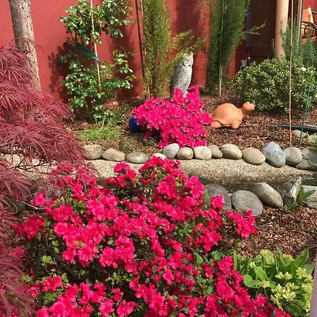 Homestay Studio Dusseldorf